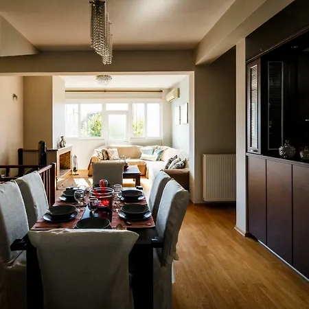 Teo Vivi Maizonette 扎金索斯镇